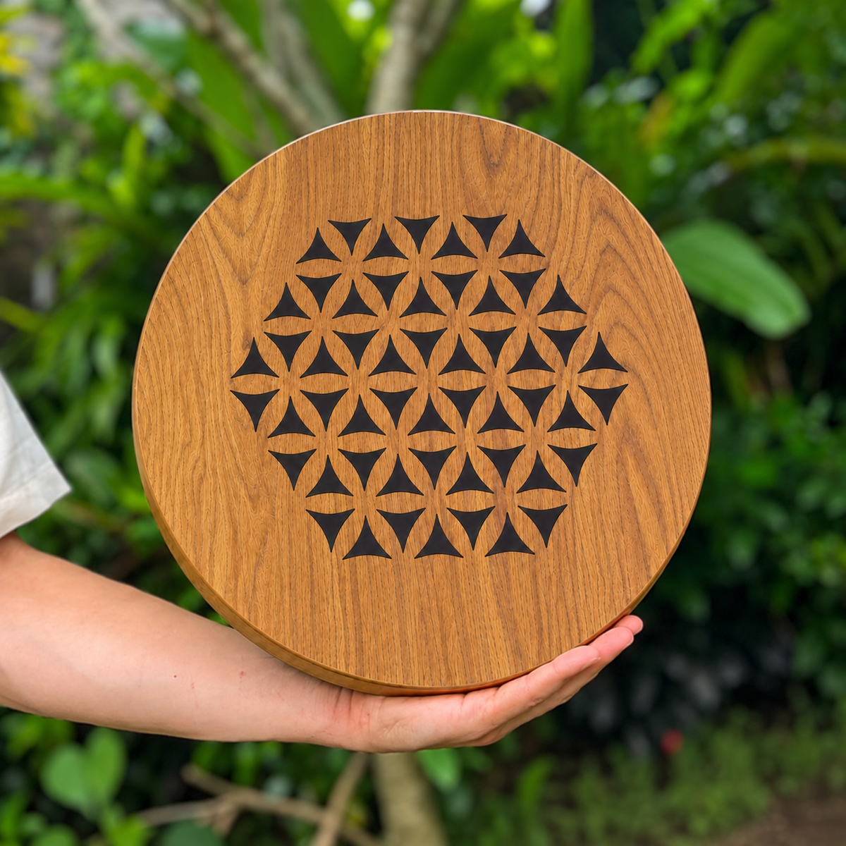 Rain Disk