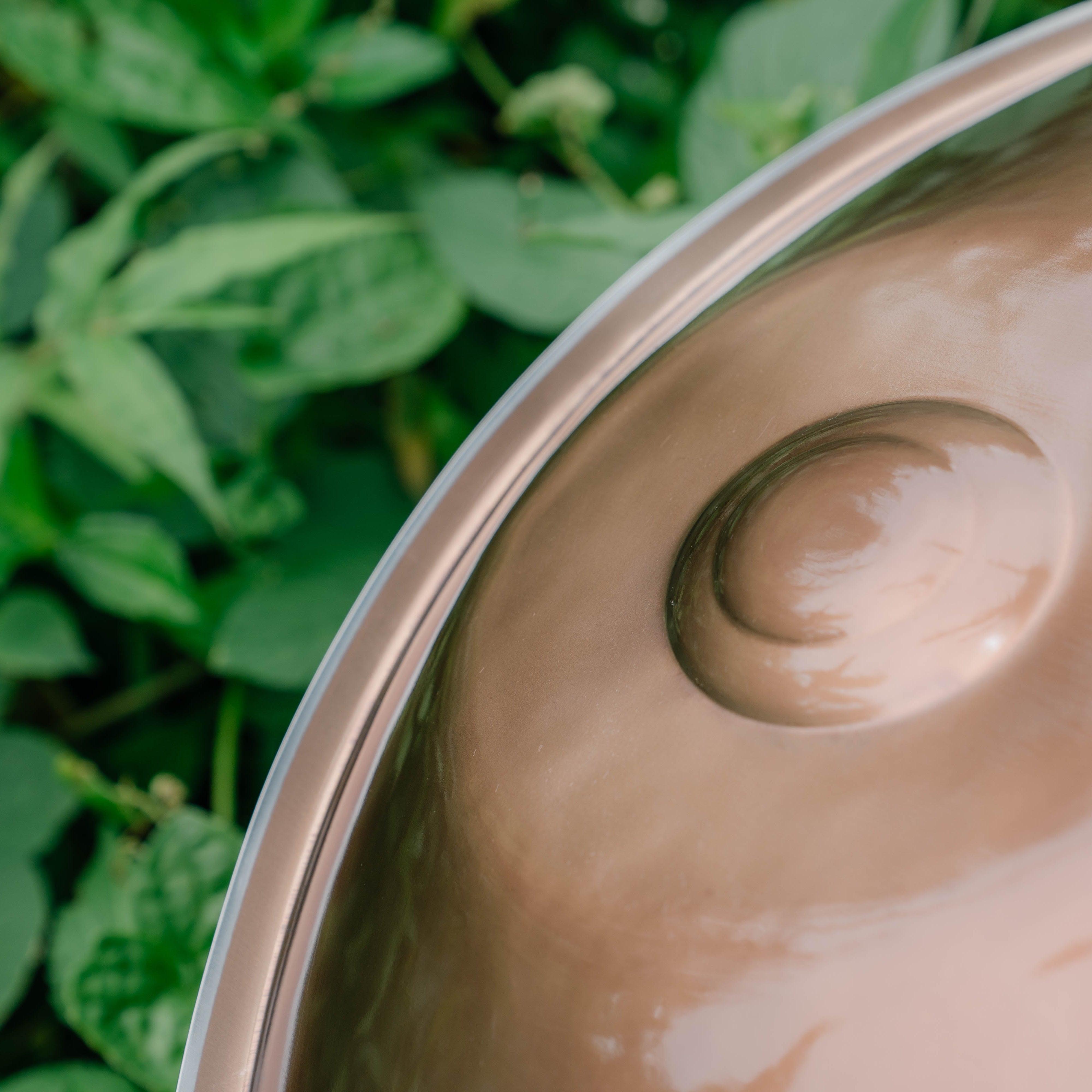 Stainless Steel I Ré Kurd 16