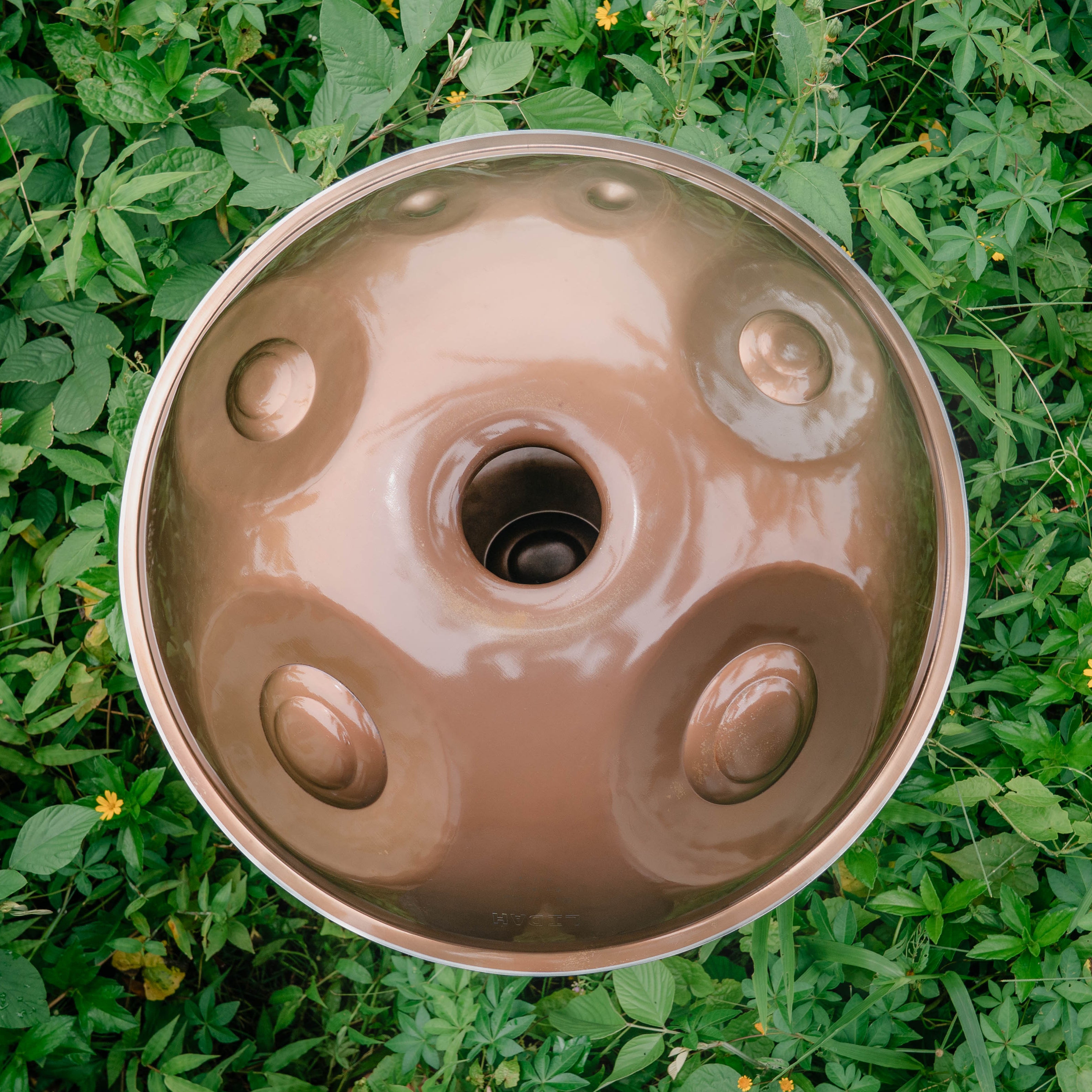 Stainless Steel I Ré Kurd 16