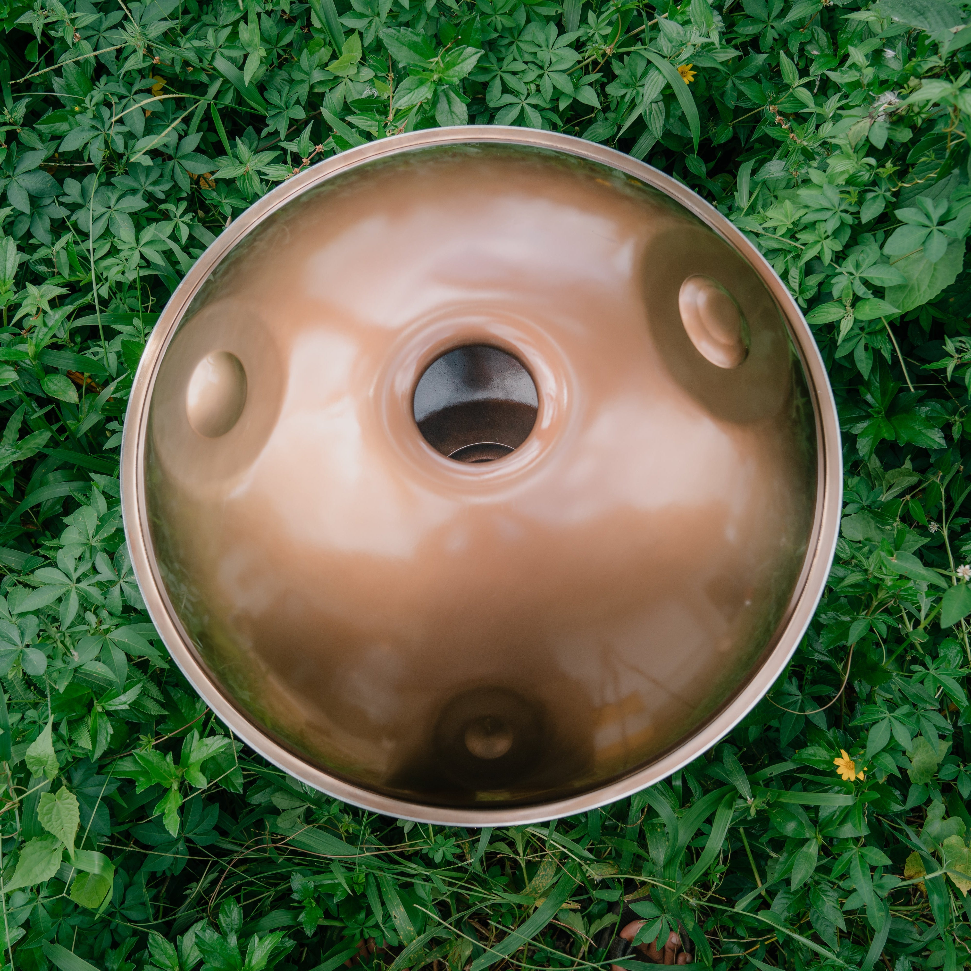 Stainless Steel I Ré Kurd 13