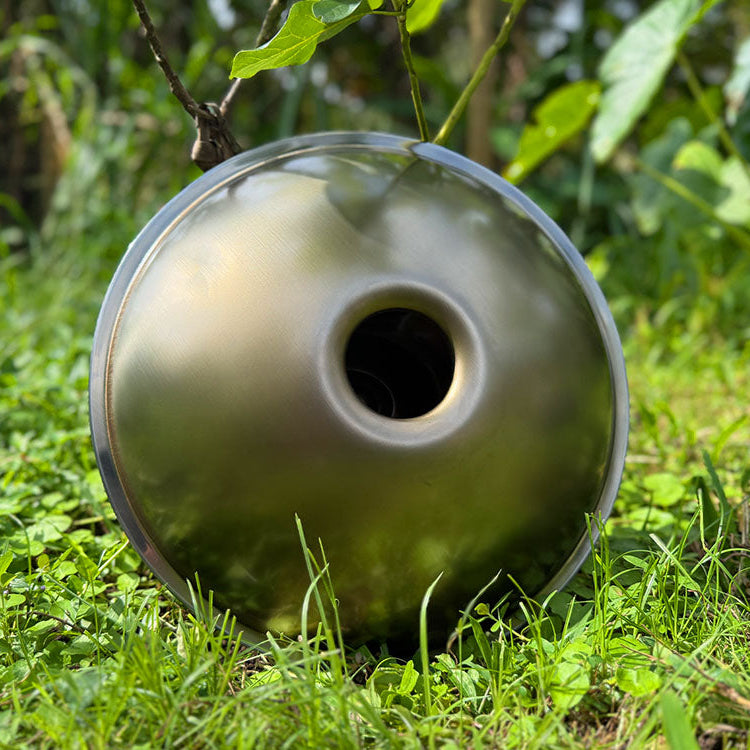 bottom of mini handpan in nature against a tree