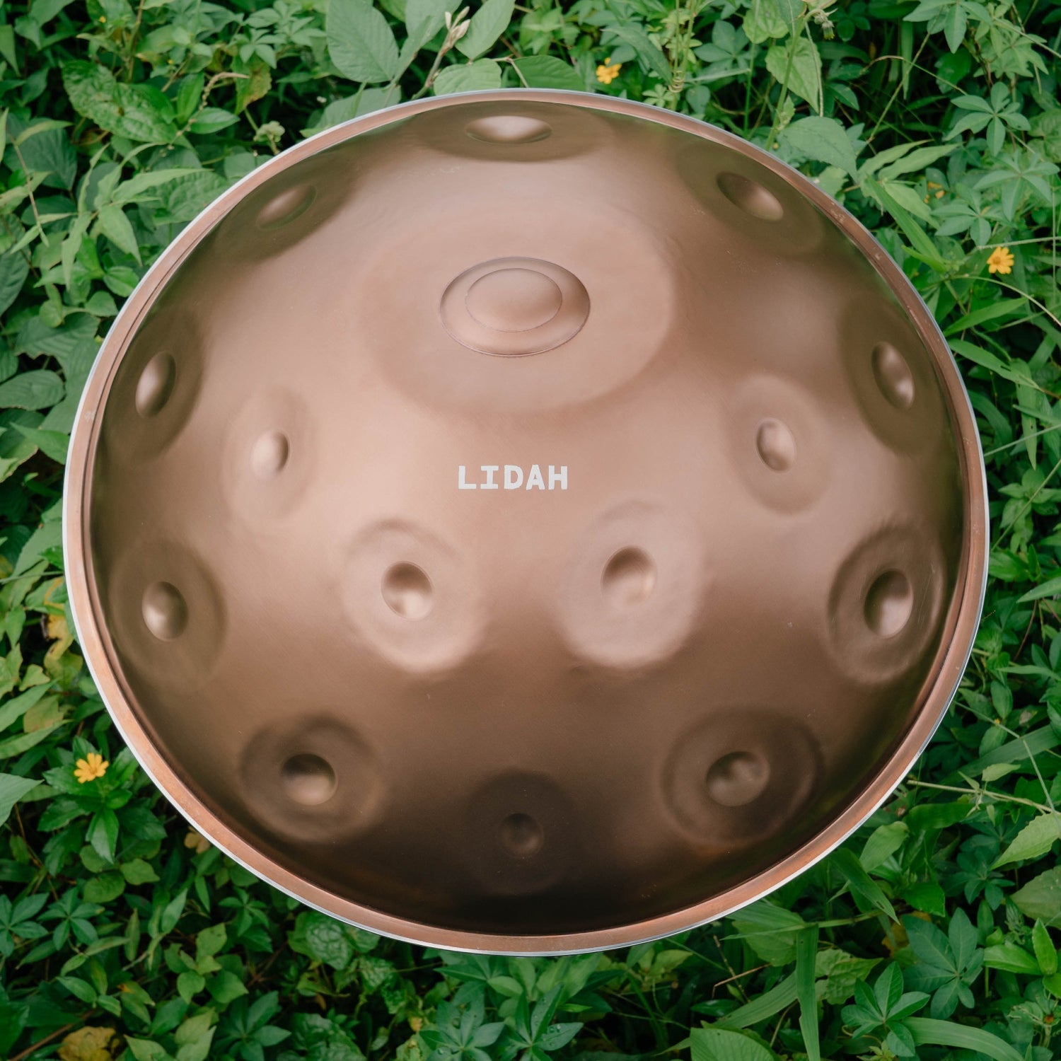 Stainless Steel I F Low Pygmy 21 - LIDAH