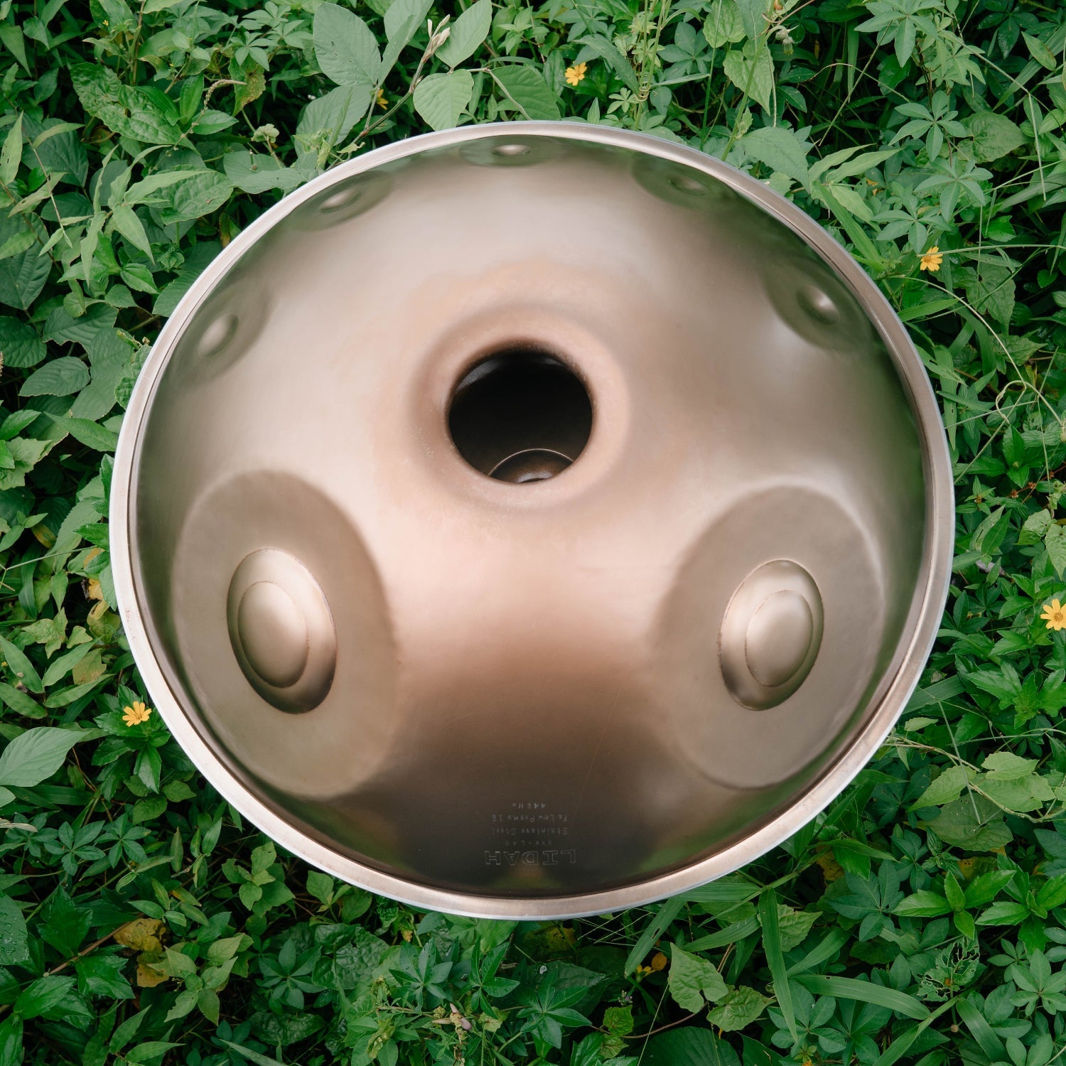 Stainless Steel I F2 Low Pygmy 16 - LIDAH