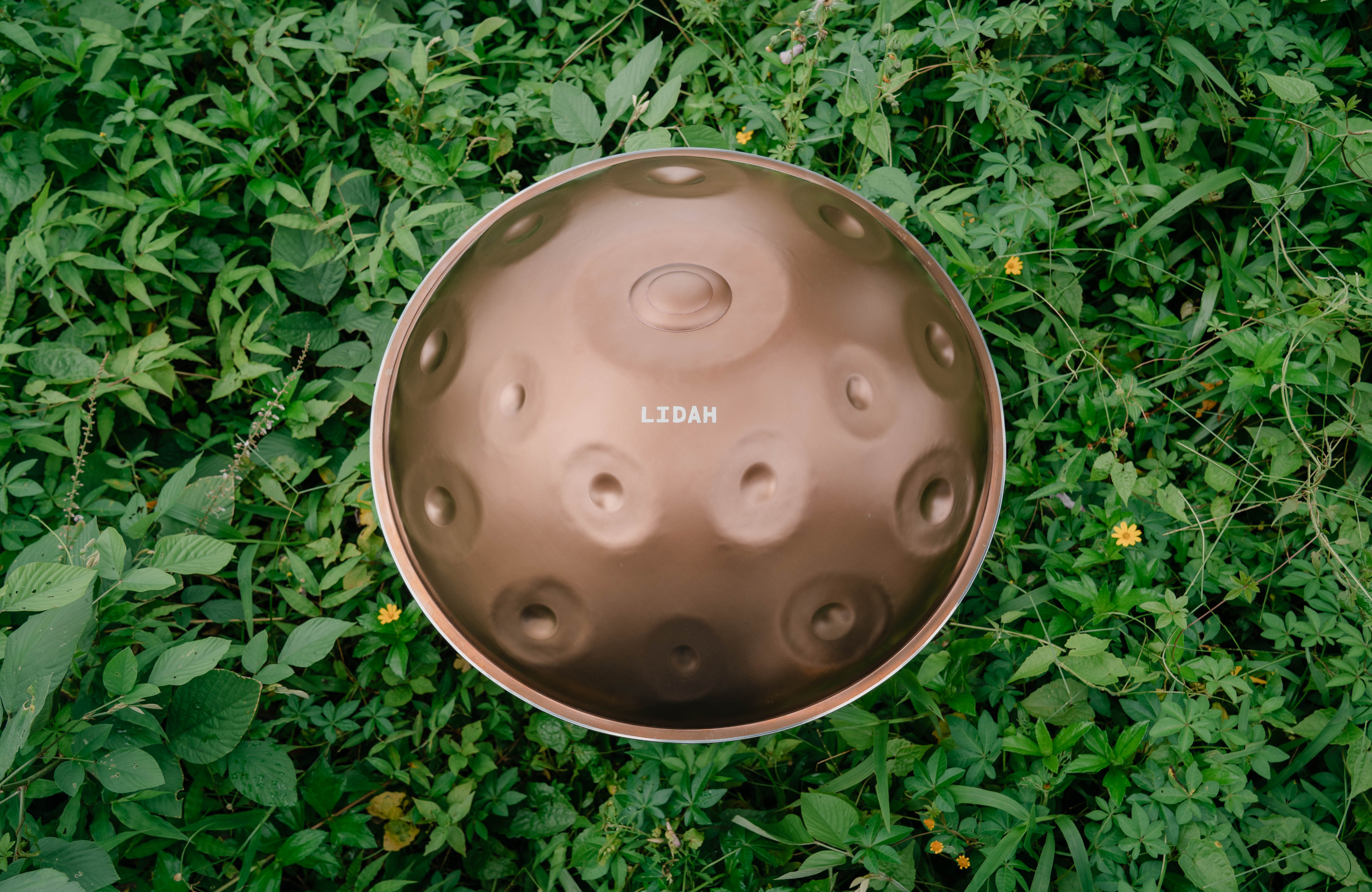 How to Choose a High-Quality Handpan: 11 Signs to Look For - LIDAH