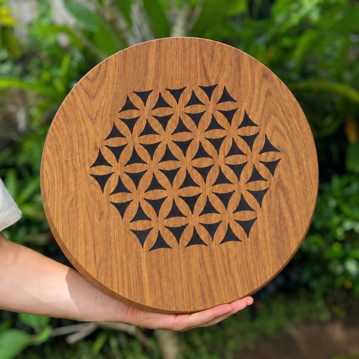 Rain Disk