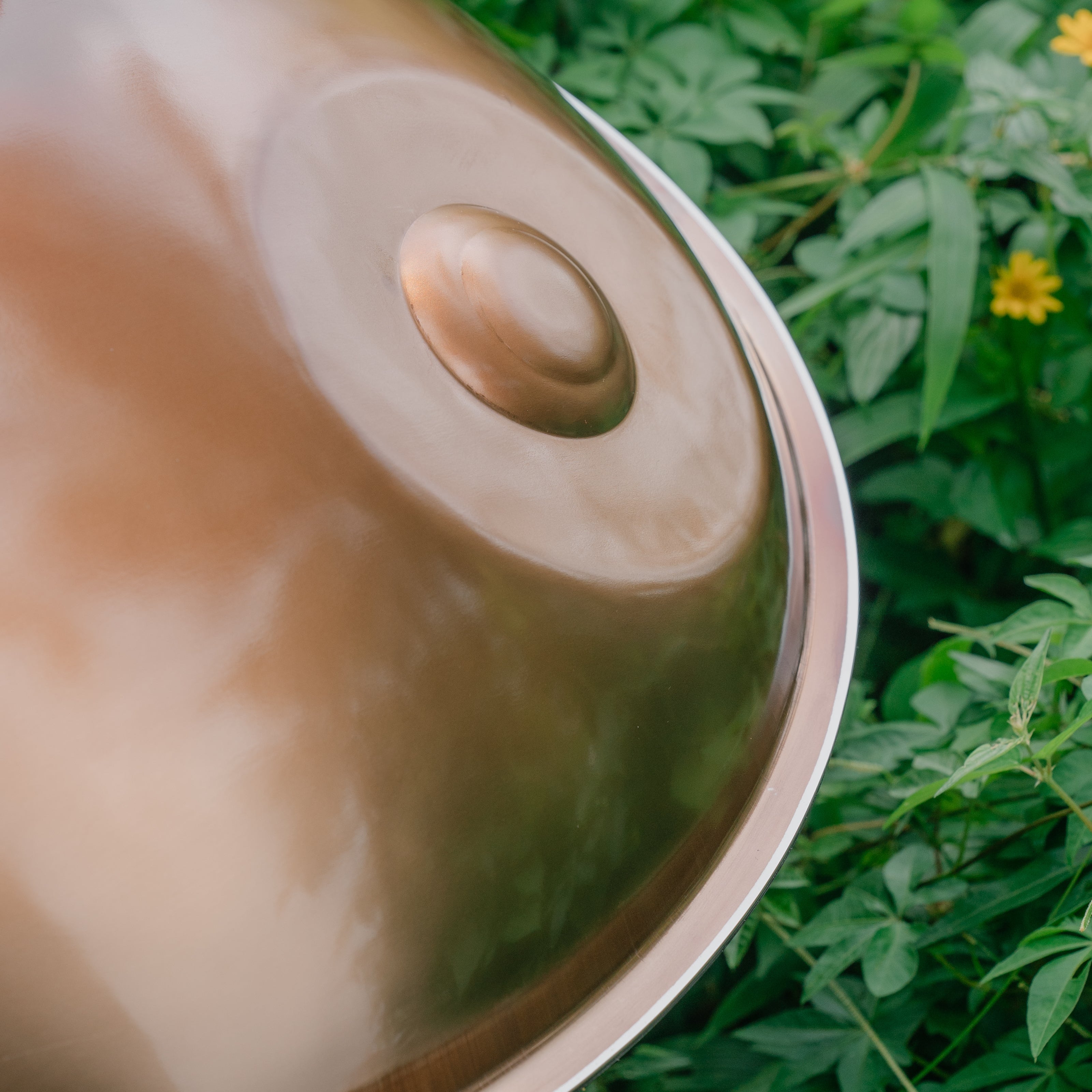 Stainless Steel I Ré Kurd 13