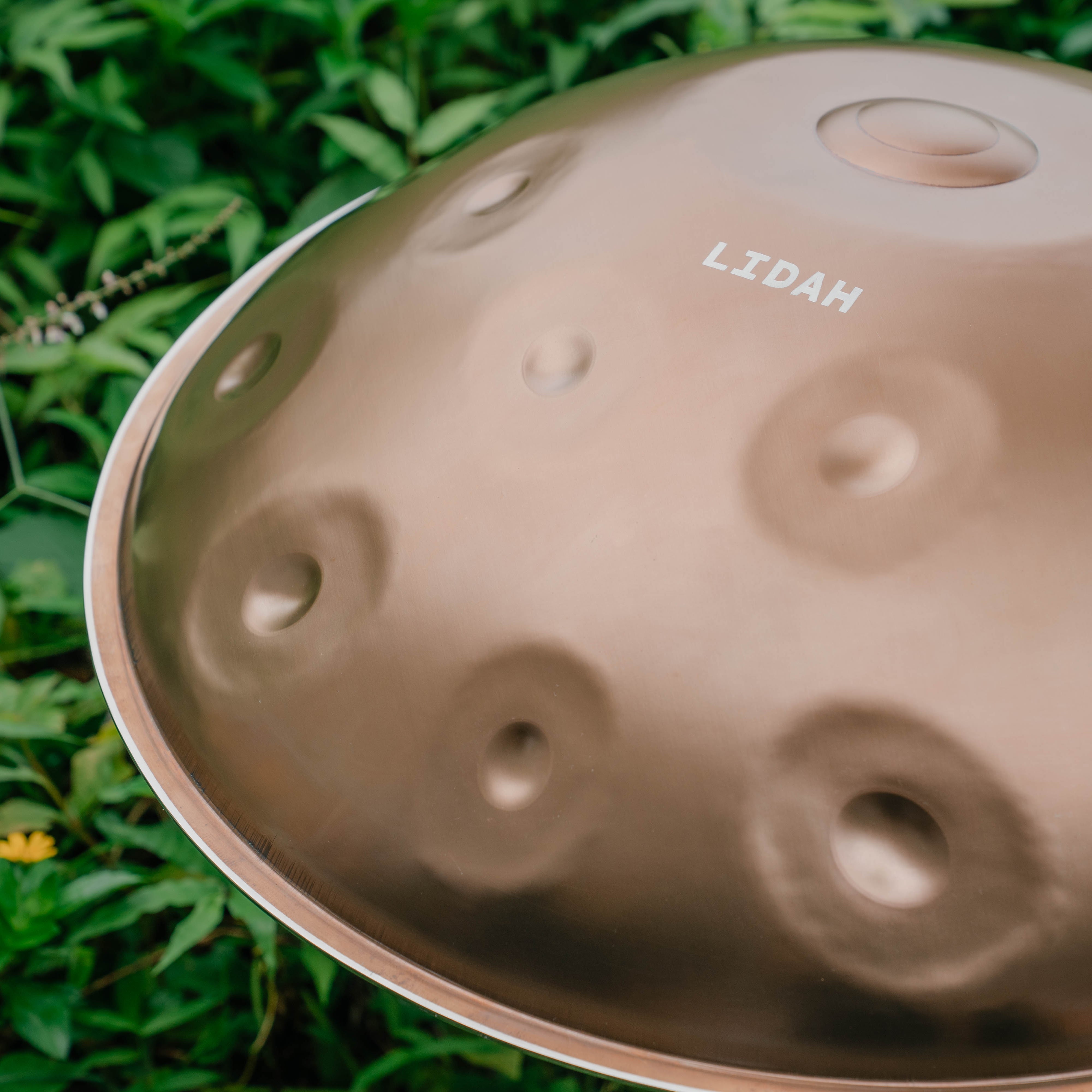 Stainless Steel I F# Low Pygmy 21